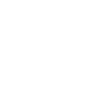 wtsicon.png