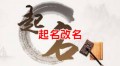 命名
